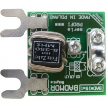 Symetrizační členy